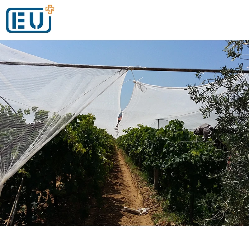 Hot sale agricultural HDPE anti bee nets anti hail weaving Alibaba express