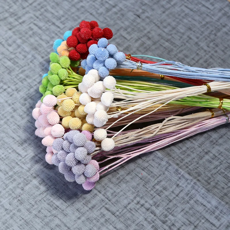 Preserved Flower Craspedia Wholesale Preserved Foliage Preserved billy ball