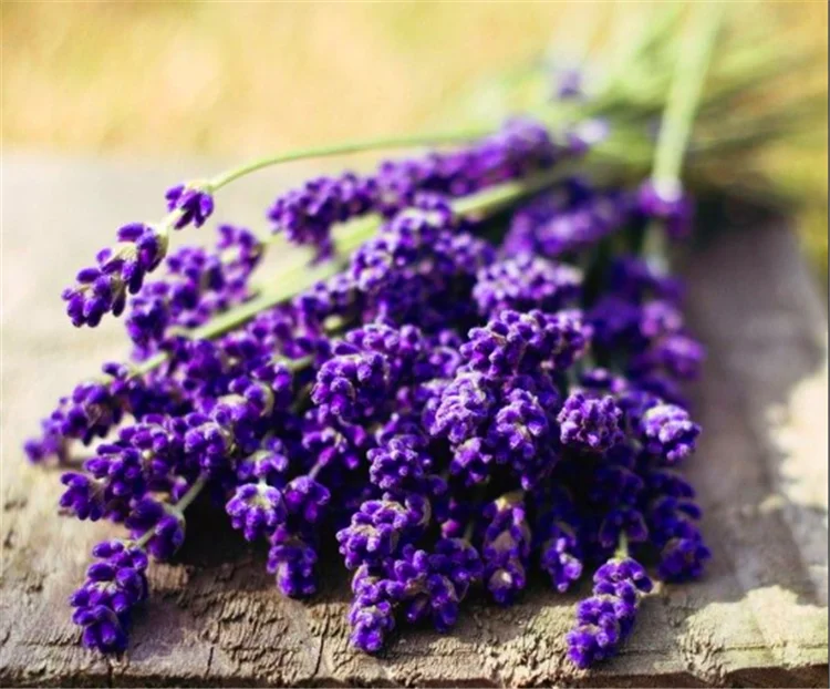 Oem-odm органическое Чистое Эфирное Масло Лаванда Масло Концентрированное для волос