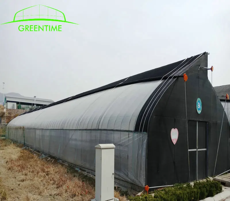 Commercial plastic greenhouse mushroom farm plastic greenhouse of agriculture equipment