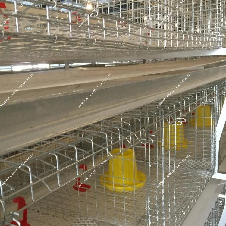 PP Manure Conveyor Belt Poultry Cage System Automatic Cage System