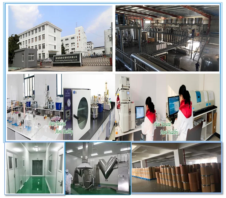 USDA Organic Pure Monk Fruit Extract Sweetener (One Ingredient)  Mogroside V25%  Mogroside V50%