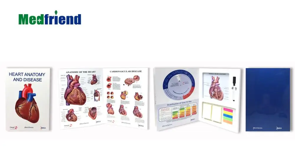 
3D Anatomical Chart Book with Medical Wheels- Topic: the Heart Many Designs Available 