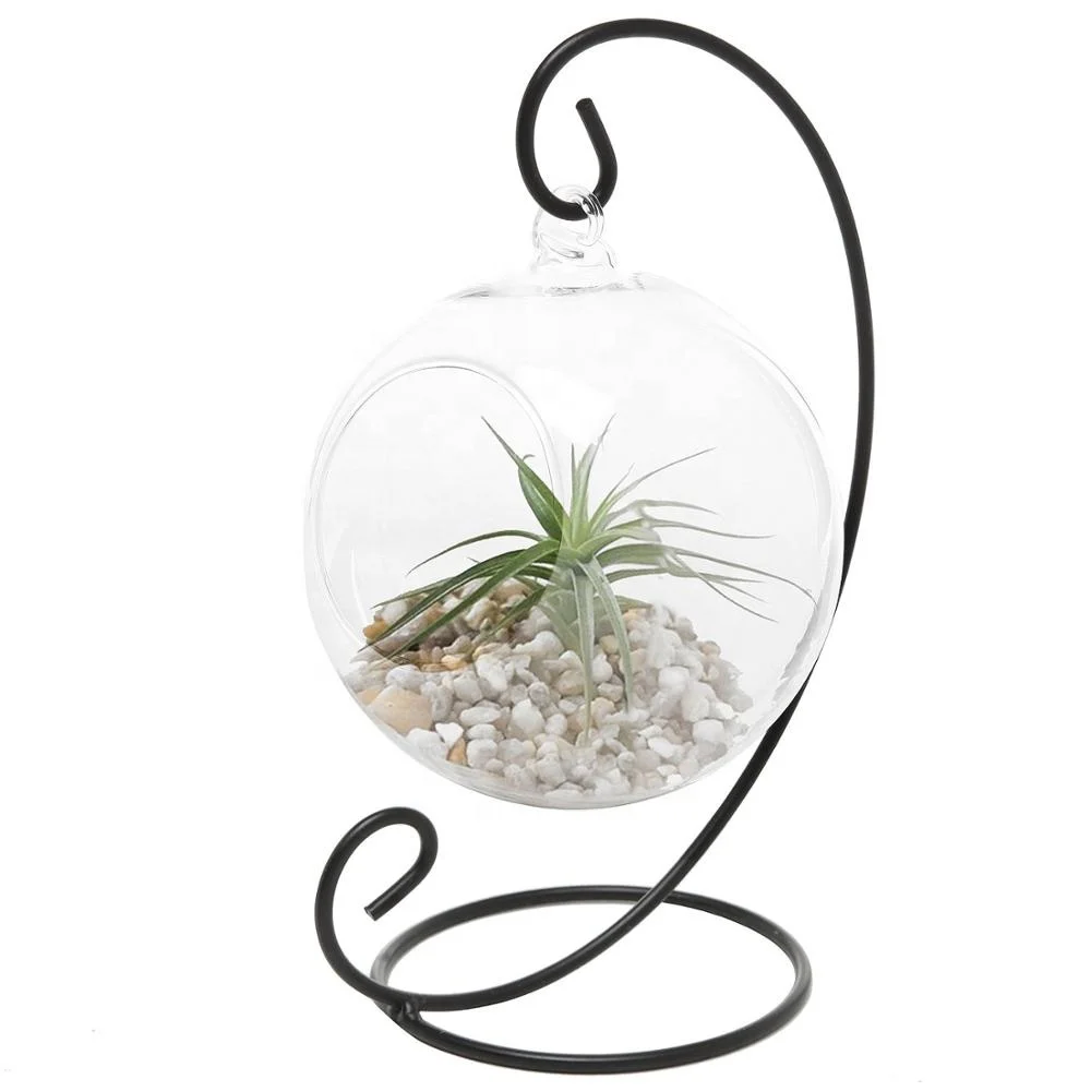 hot sale mouth blown glass with round bottom terrarium fish flower vase