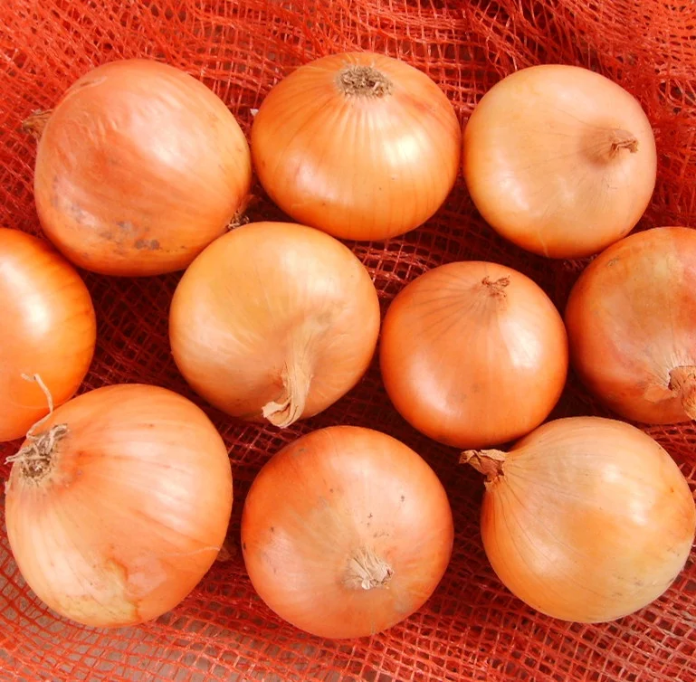 fresh chinese onions on promotion