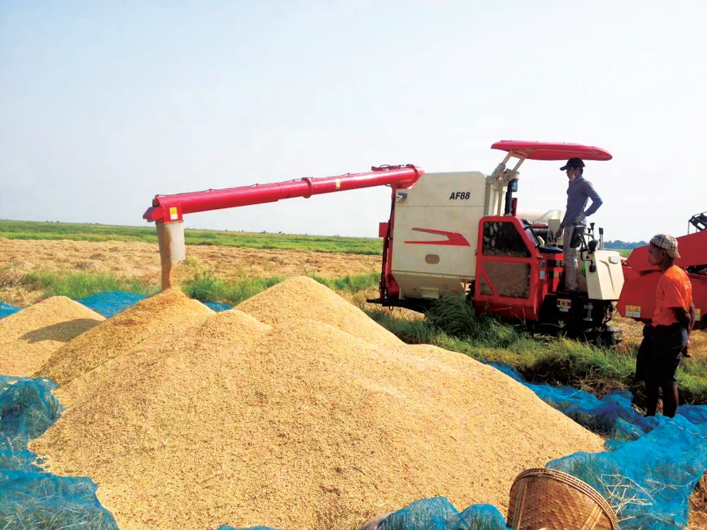 
Grain Wheat Rice Combine Harvester Crawler Rubber Track AF88 Indonesia Thailand Philippines Multifunctional 