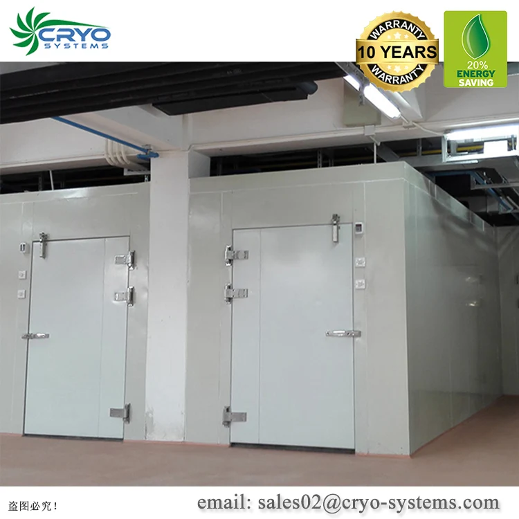 Омасум говядина соленая Голландия холодное хранение вино Шани пить промышленная холодильная камера