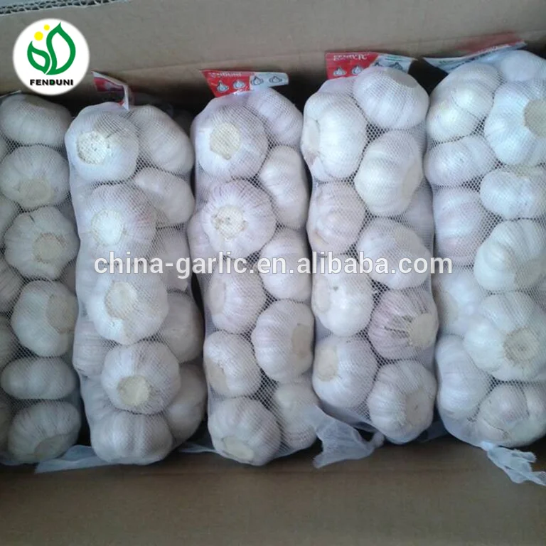 
China/Chinese Normal white/Red/Purple Garlic 2021 