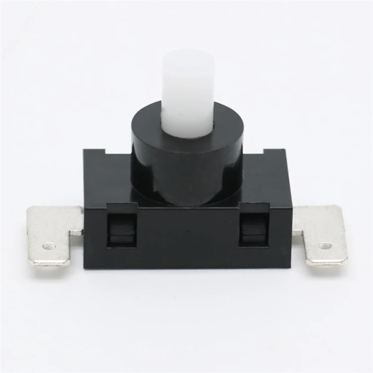 PBS-02A mini hoist selector momentary low voltage plastic 2 pin 24 volt flashlight push button switch