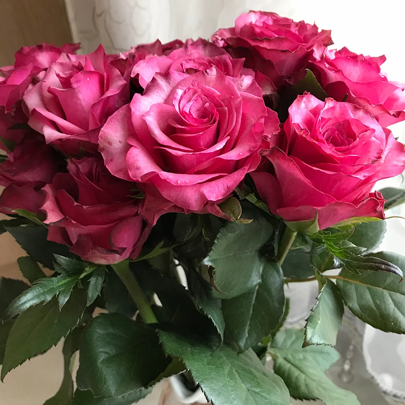 
Fresh flower suppliers flower arrangements cheap flowers red rose 