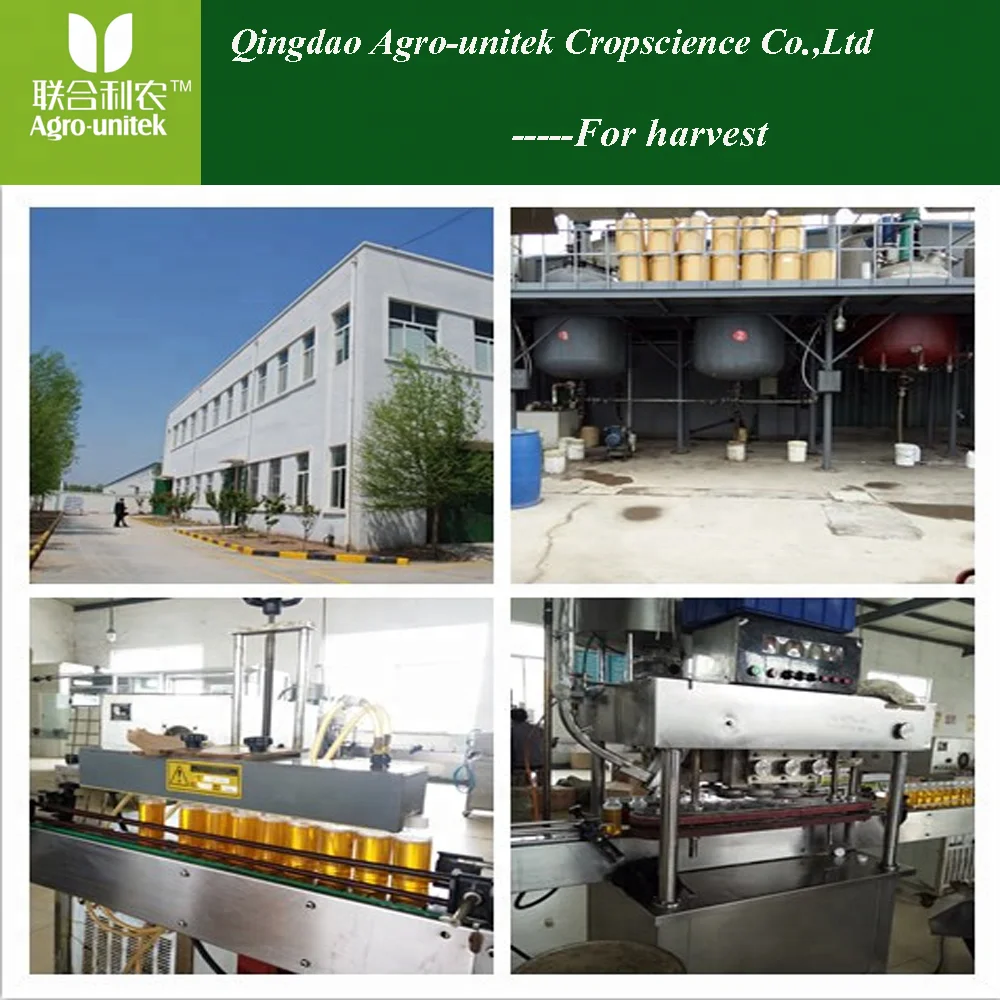 Blue powder WP High efficient copper hydroxide fungicide