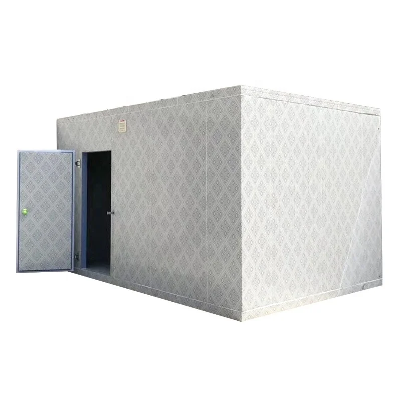 Customized Freezer Cold Storage Room Equipped with Compressor Condensing Unit for Frozen Food and Fruits Storage