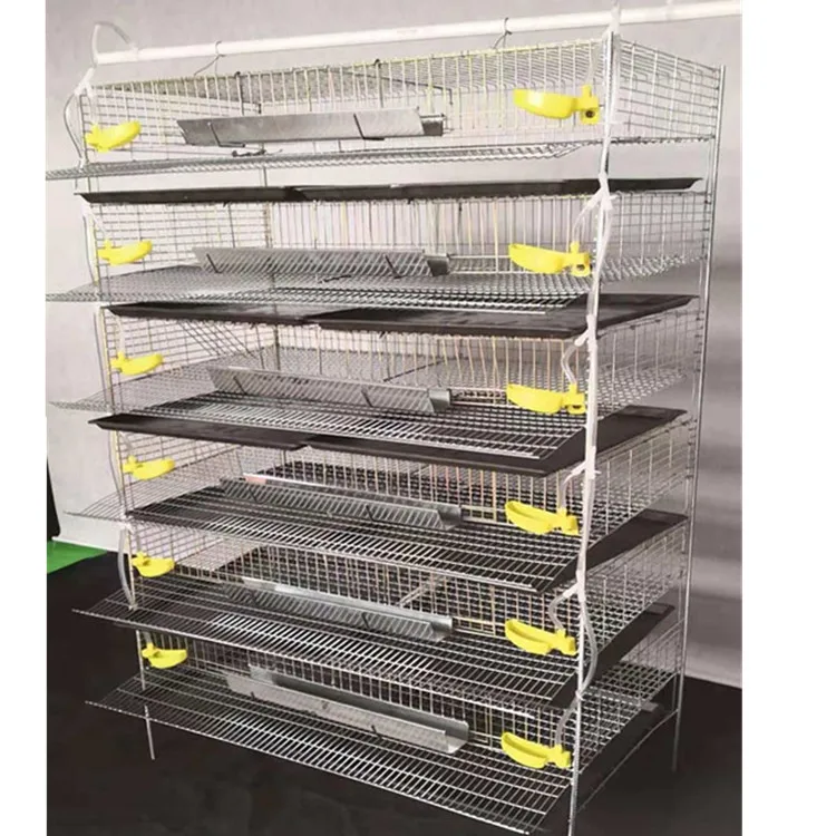 Cheap Galvanized Design Layer Quail Cage for Poultry Farm Sale