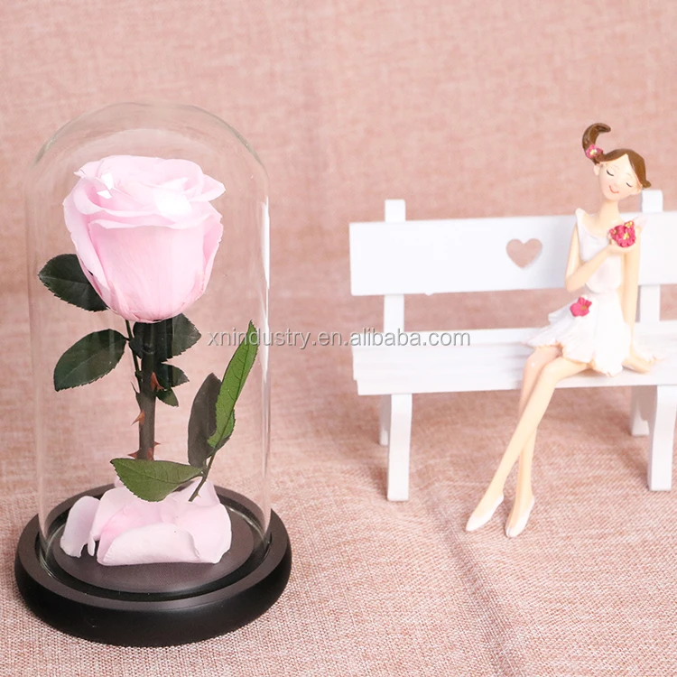 High Quality Valentines Day Gifts Natural Roses Boxes the Little Prince Rose Eternal Preserved Rose in Glass Dome