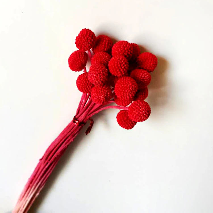 
Christmas Wreaths Decorations Preserved Flower Material for Flower Arrangement 