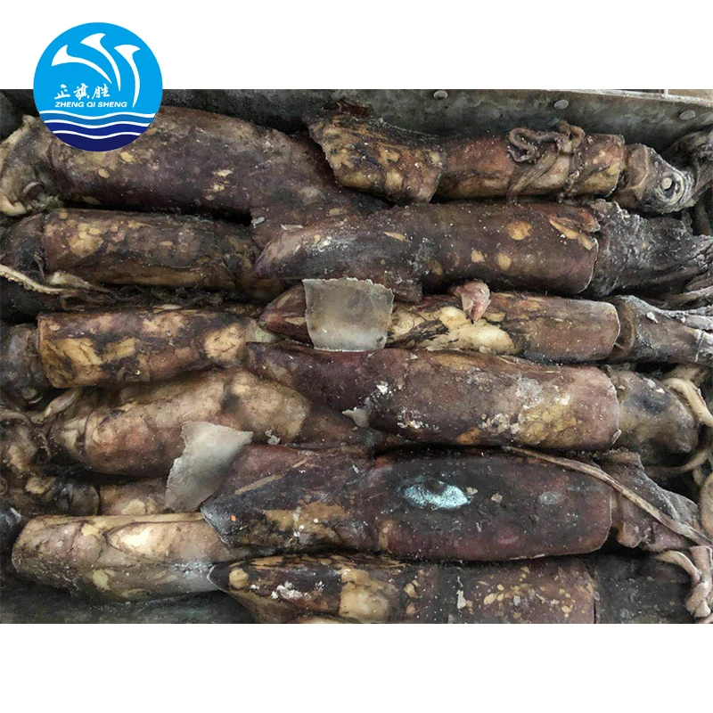 Китайский поставщик морской замороженный круглый кальмар для Индийского океана