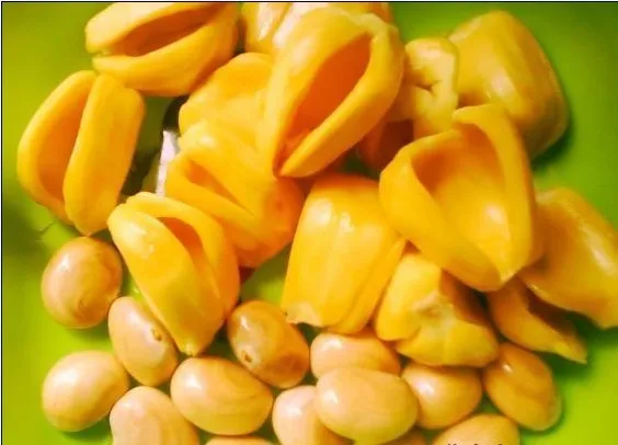 Industrial drying machine jackfruit hot air centrifugal dryer