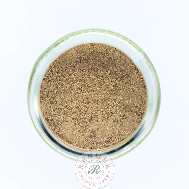 Malaysia Halal Certificated 12 Months Shelf-life Renger Milk Chocolate Flavor Food Additives Milk Chocolate Booster Powder