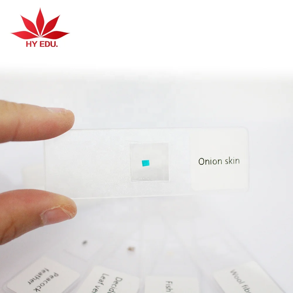 Hot selling child plastic teaching toys plastic prepared slides for microscope