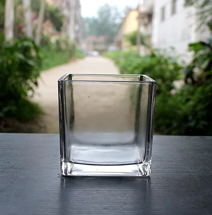 Mini Clear Cube Glass Terrarium Planter Succulent Plant Pot for Indoor Plant