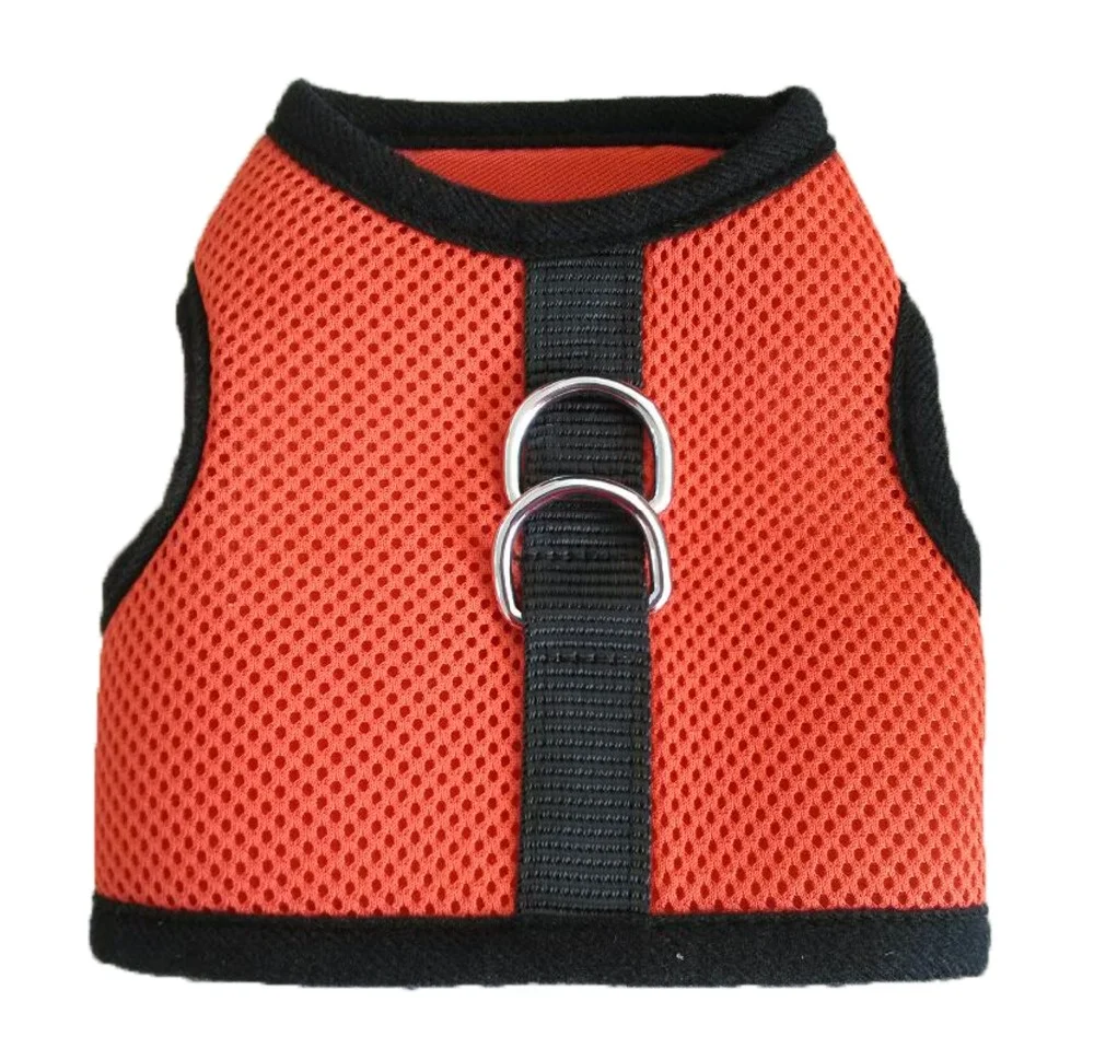 Пользовательские Чихуахуа красочные подняться груди пластины собака жгут