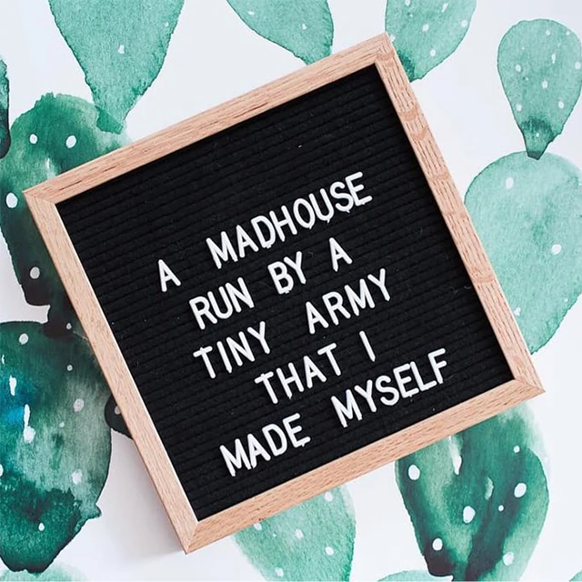 Clever  Letterboard Quotes, Sayings and Ideas Humorous Felt Letter board