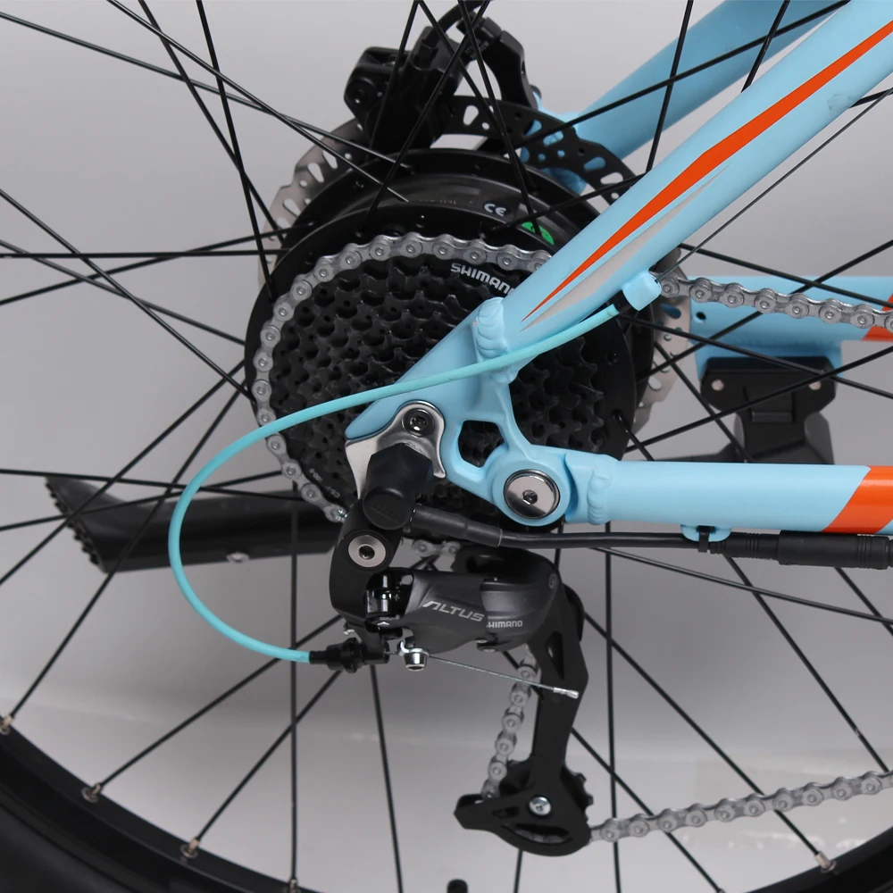 TXED Alloy MTB Bicycle Battery Power Electric Bike Mountain Electric Bicycle