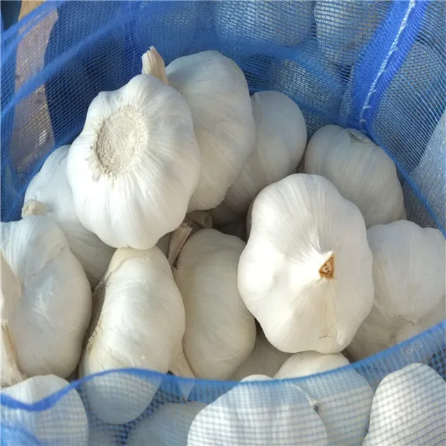 5.5 cm Fresh Normal White Garlic/ wholesale garlic/ garlic box 10kg