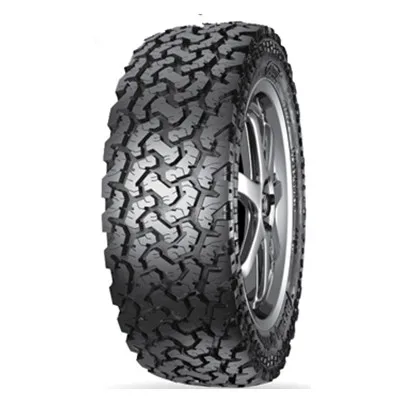 pcr tire snow tire winter tire 205/55r16 dk668