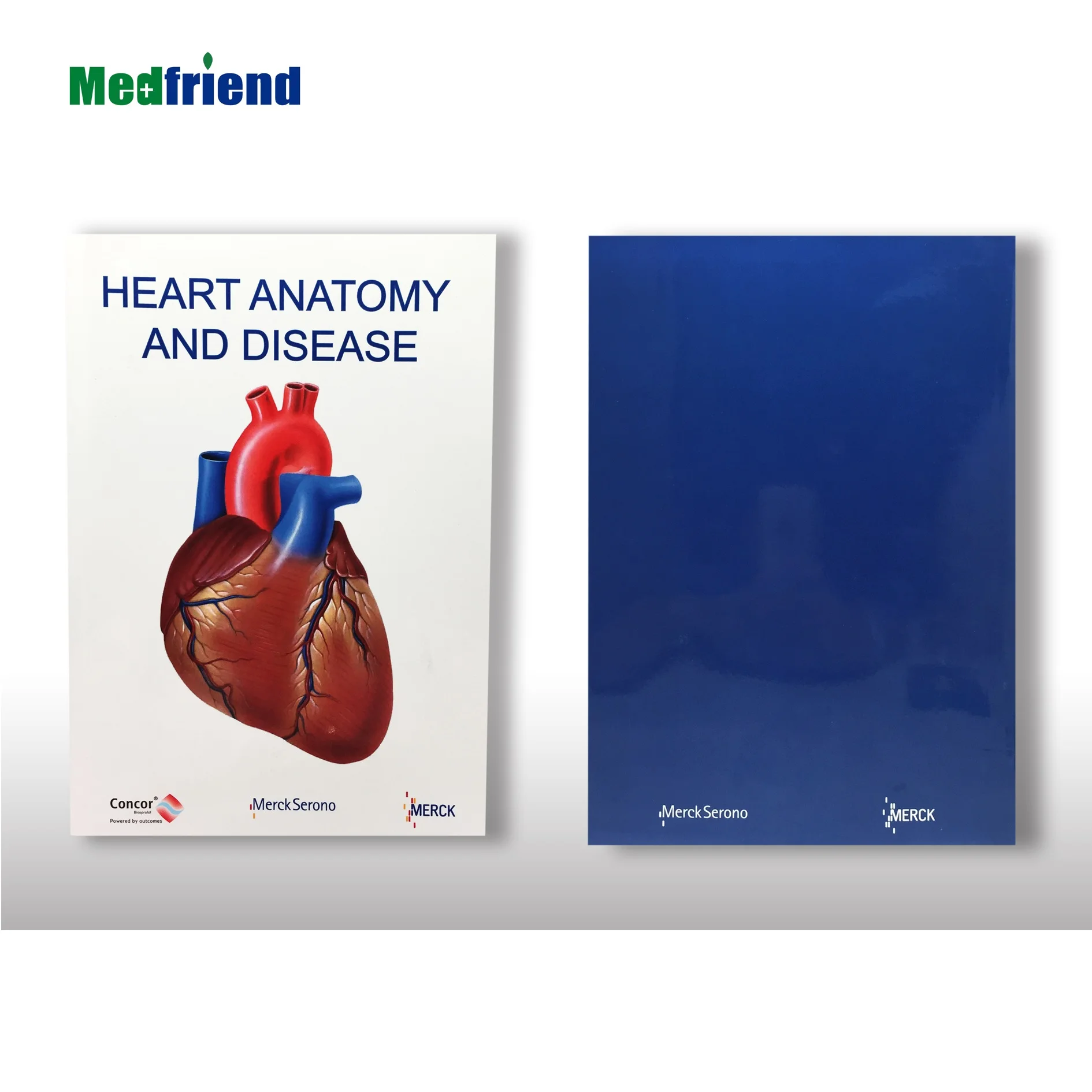 
3D Anatomical Chart Book with Medical Wheels- Topic: the Heart Many Designs Available 