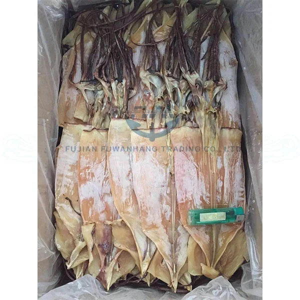 
Dried Equator Squid For Korea Market 