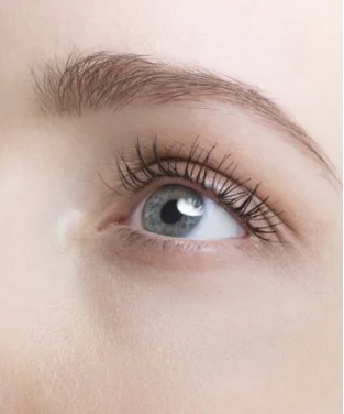 
SOYOUNG supply natural 1% astaxanthin powder food grade astaxanthin raw material astaxanthin haematococcus pluvialis 