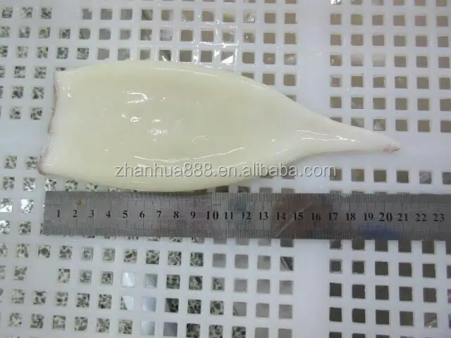 Squid Tube Argentina Squid U5 U7 U10 Frozen Squid Meat
