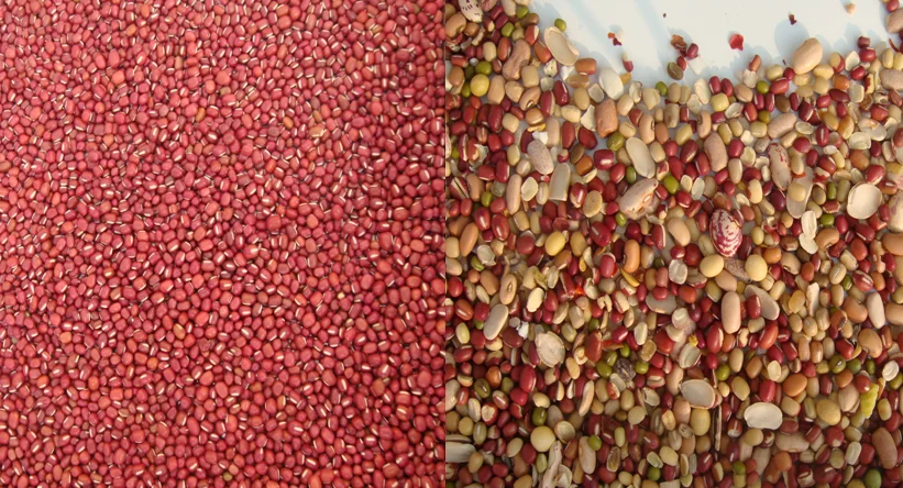 China Wholesale Color Sorter Machine Kidney Bean With Rgb Intelligent Sorter