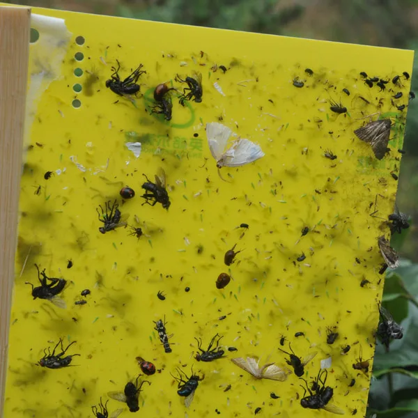 Пластиковые Желтые Липкие летающие ловушки, лидер продаж из Китая