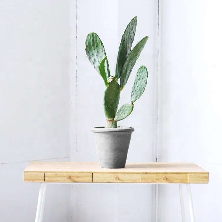 Fiberclay Fiber Cement Round Clay Pots