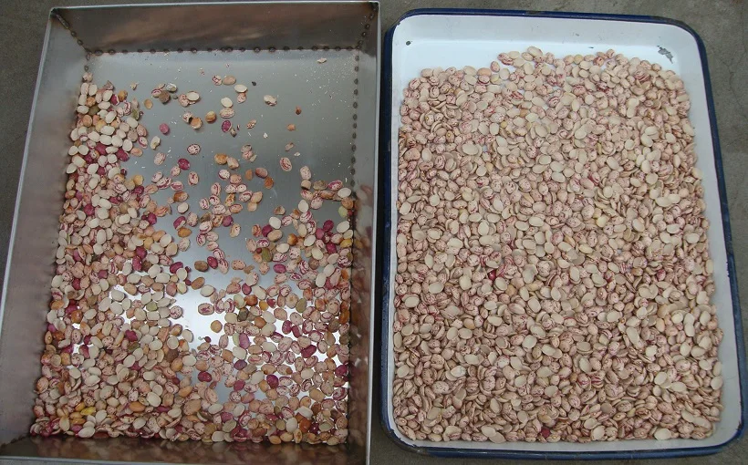 China Wholesale Color Sorter Machine Kidney Bean With Rgb Intelligent Sorter