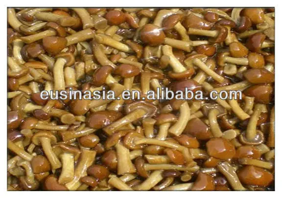 
2019 New Crop Nameko Mushroom in Brine in Drum 