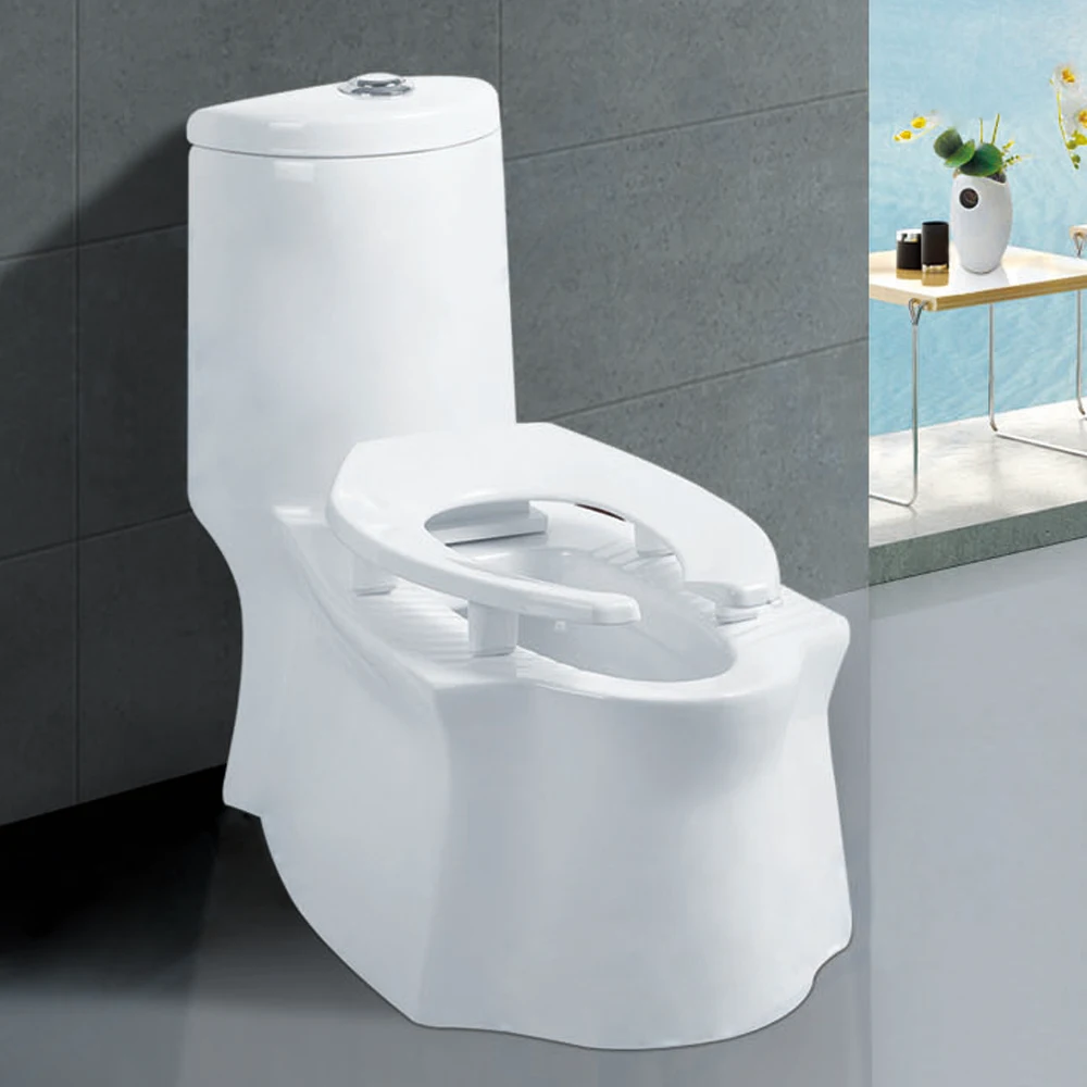 Two Use Functional Toilet Bowl Foshan Public Cera Chinese for Hotel for Home One Piece Porcelain Ceramic,ceramic Floor Mounted