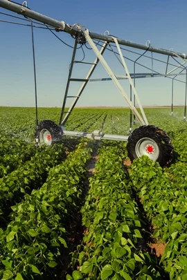2022 Hot sales  Center Pivot Farm irrigation Systems for big land