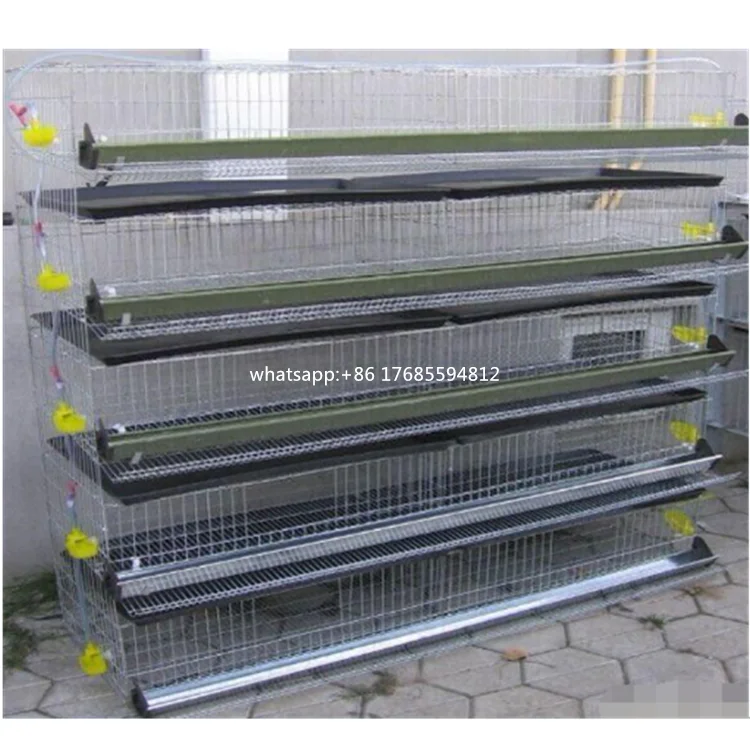 Cheap Galvanized Design Layer Quail Cage for Poultry Farm Sale