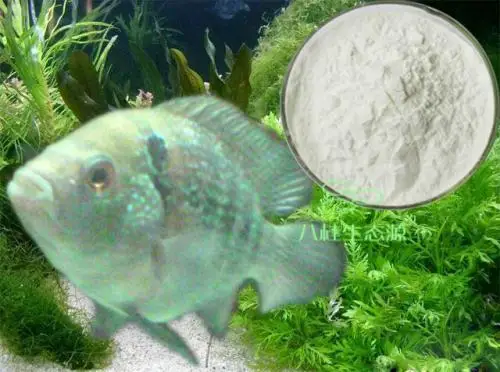 
High Quality Japan Fish Collagen Peptide Powder CAS 92113-31-0 Fish Extract Powder 