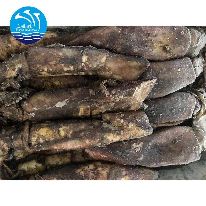 Китайский поставщик морской замороженный круглый кальмар для Индийского океана