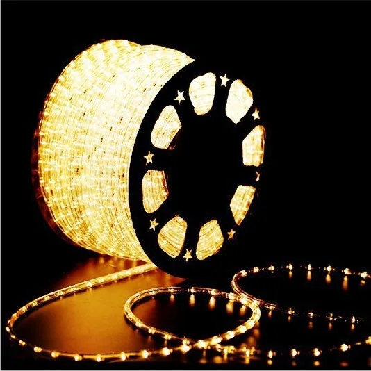 color change Wireless remote control rainbow tube led rope light 220v