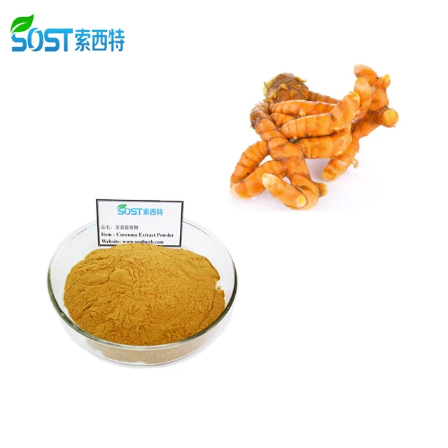 
High Quality Pure Curcumin 95% 99% Curcuma Longa Root Extract 
