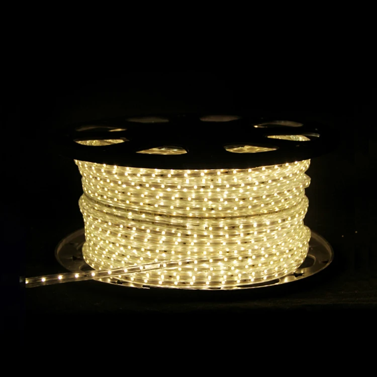 
Dimmable Outdoor Light Led Neon Flex Rgbw Led Rope Light 