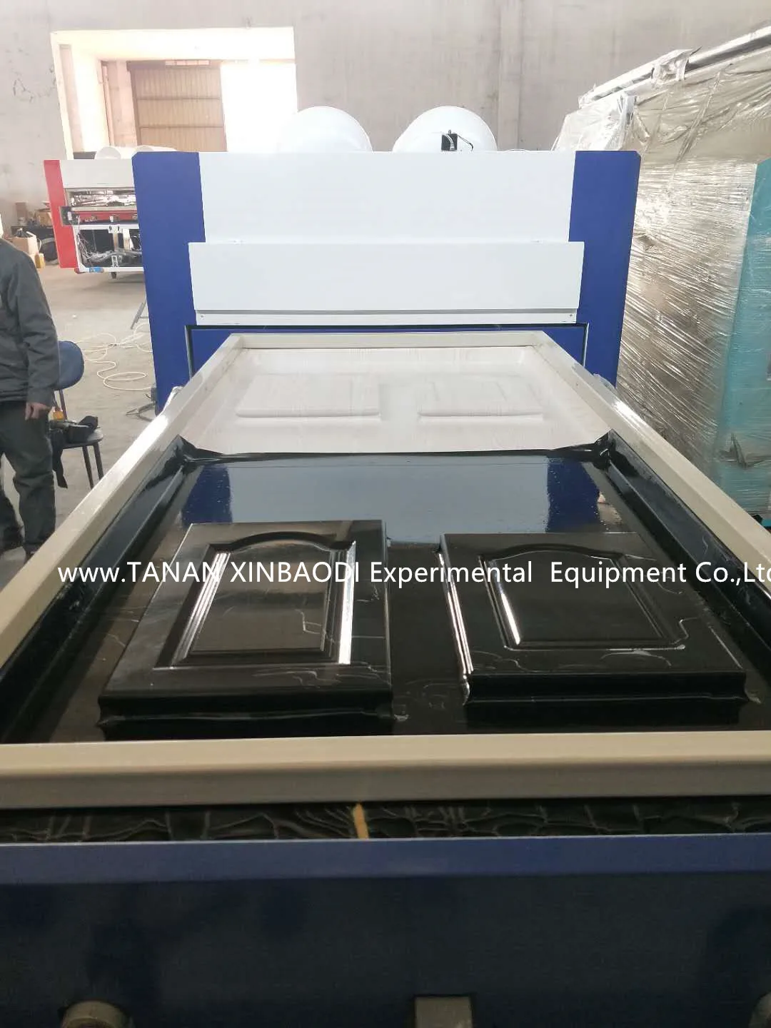 Китай поставщиком древесины мебель ламинационная машина/вакуумная мембранная пресс для деревообработки TM-2480E-2