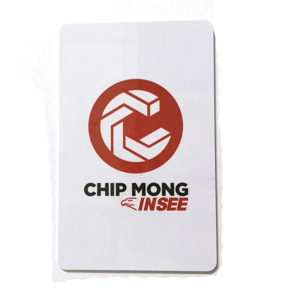 Лучшая цена профессиональный производитель контакт ic Sle4442 чипы Рождественский подарок rfid-карты-ключа с магнитной полосой