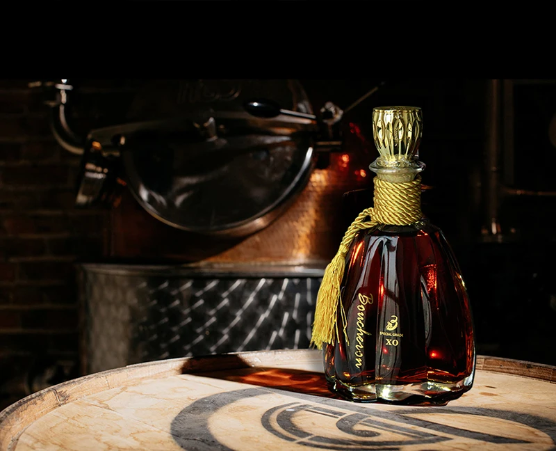 Famous napoleon French Brandy 750ml vsop brandy liquor distillery