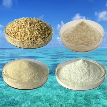 Factory direct sale food Grade E401Sodium Alginate for Food Stabilizer and Thickener